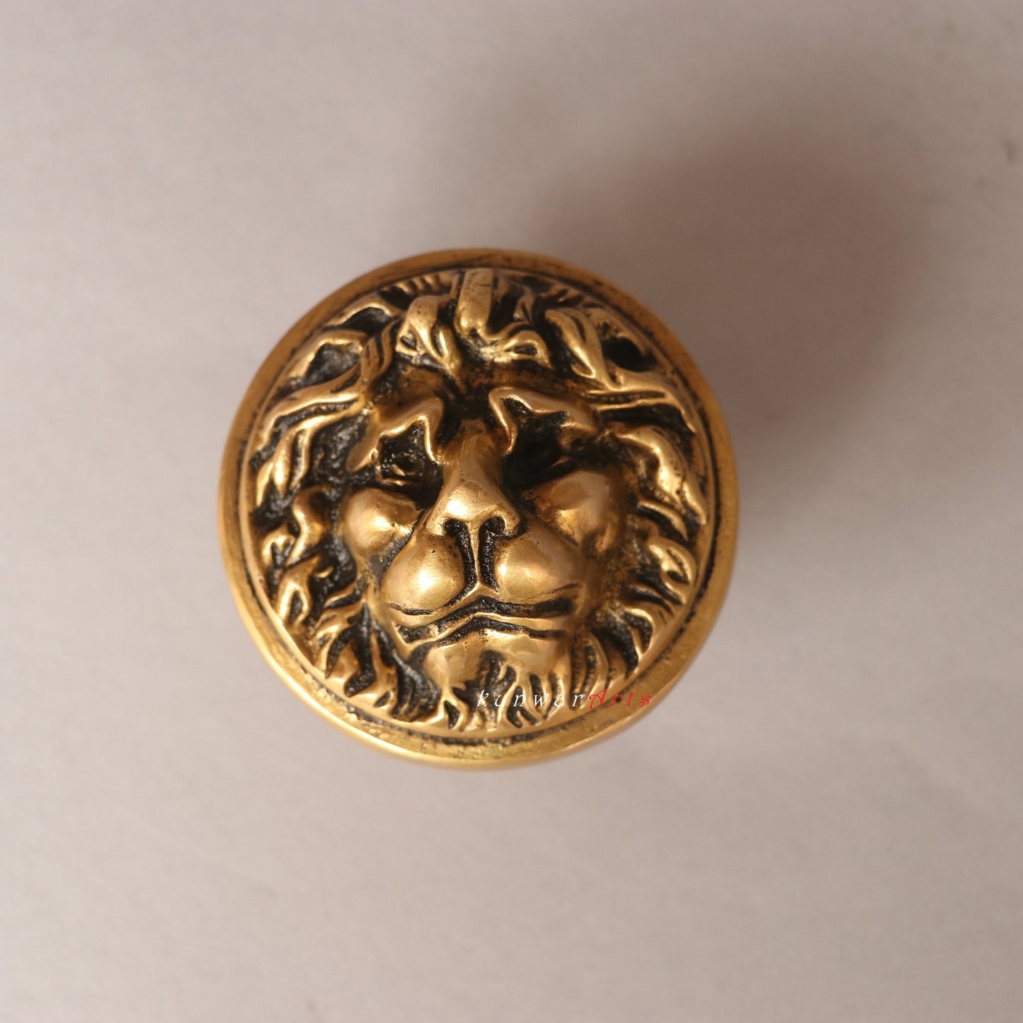Brass Drowse Lion Door Knobs