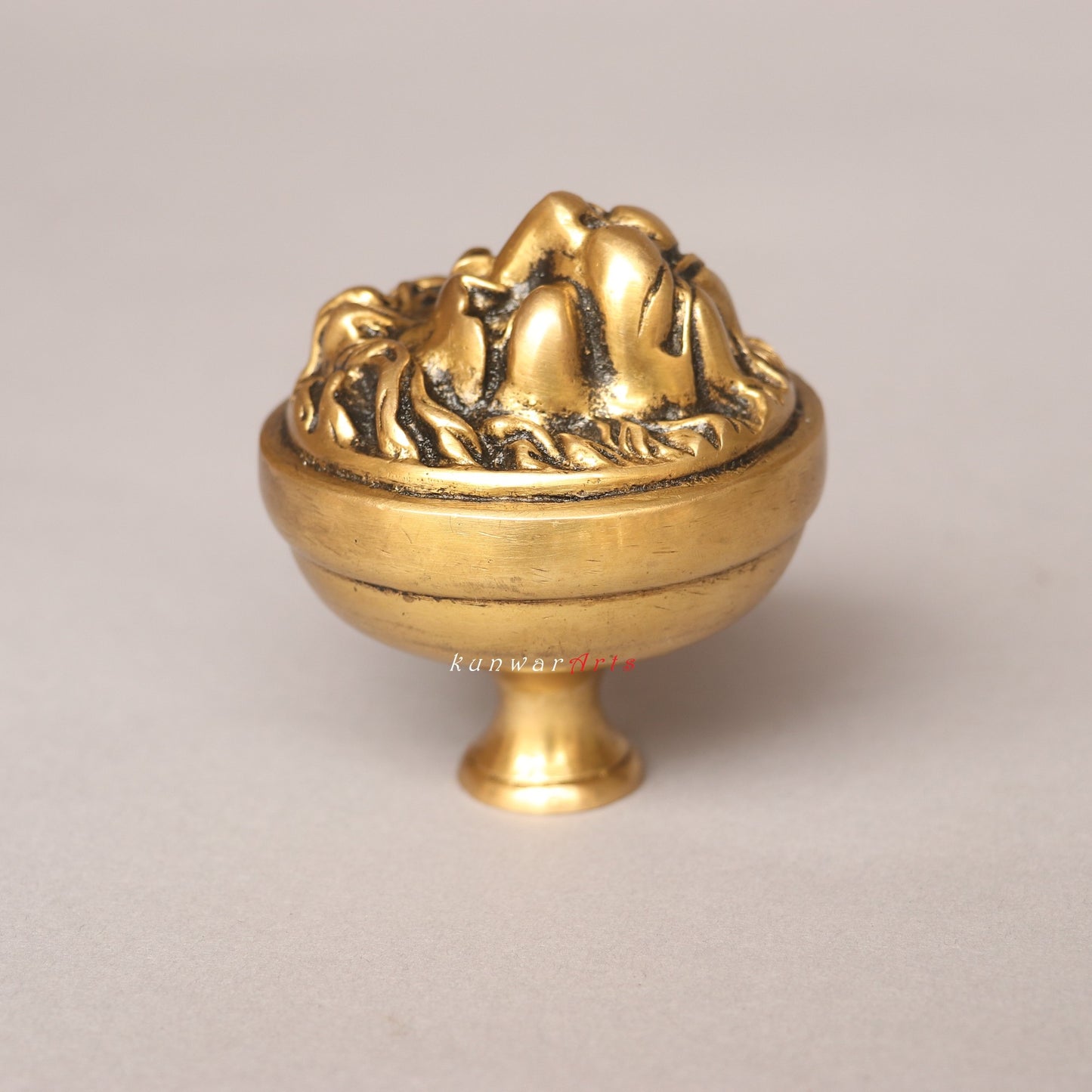 Brass Drowse Lion Door Knobs