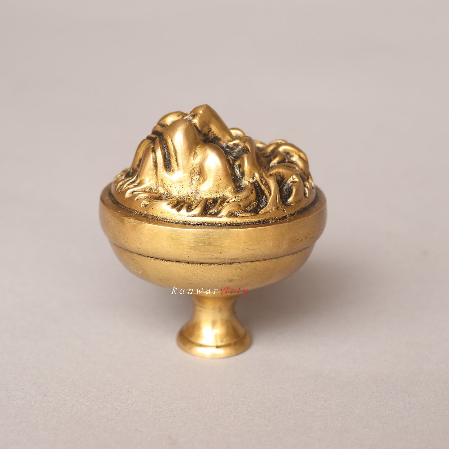 Brass Drowse Lion Door Knobs