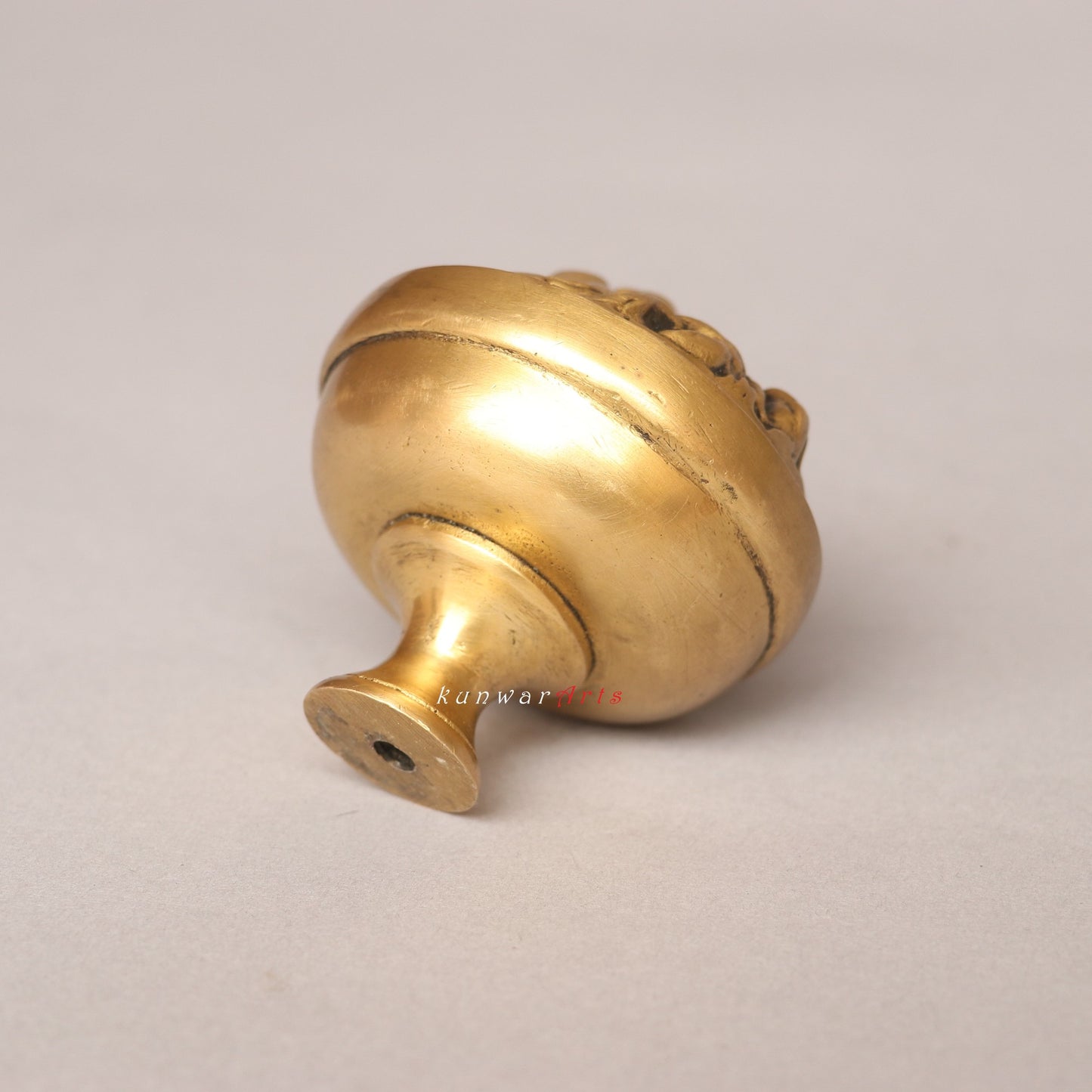 Brass Drowse Lion Door Knobs