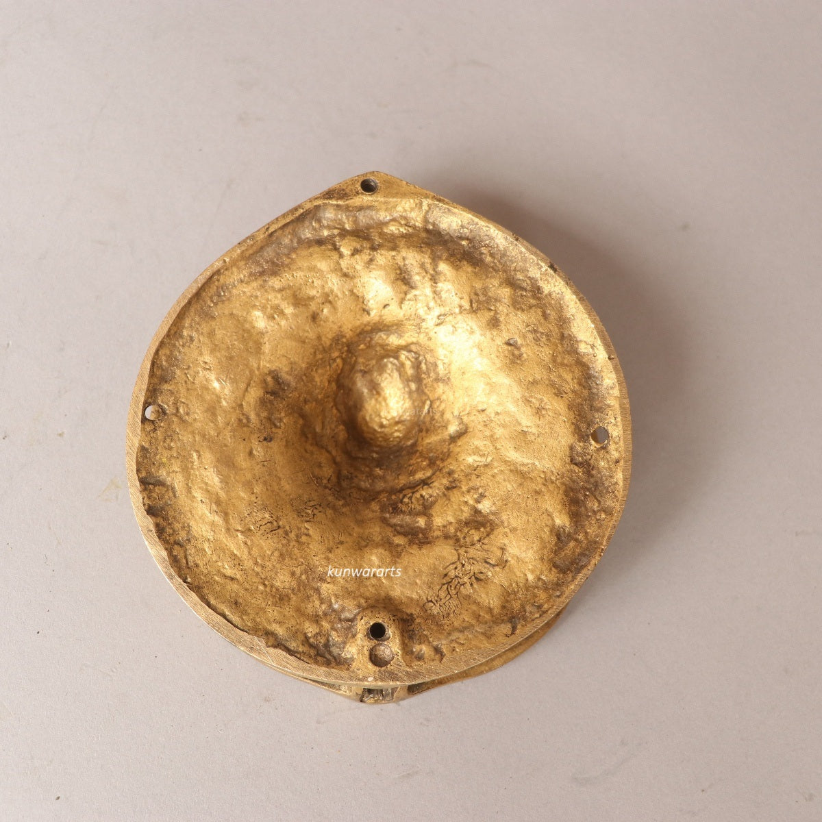 Lion Head Brass Door Knocker