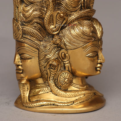 Divine Fusion of Shiva and Parvati 3 Faces Behind Parvati