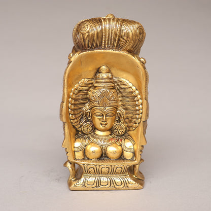 Divine Fusion of Shiva and Parvati 3 Faces Behind Parvati