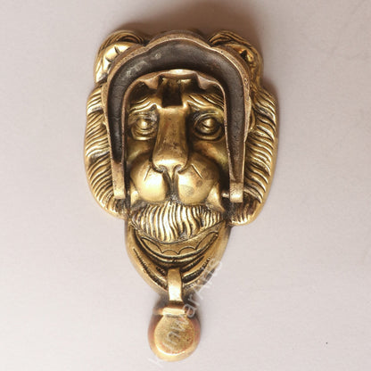 Brass Lion Door Knobs