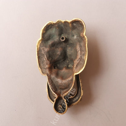 Brass Lion Door Knobs